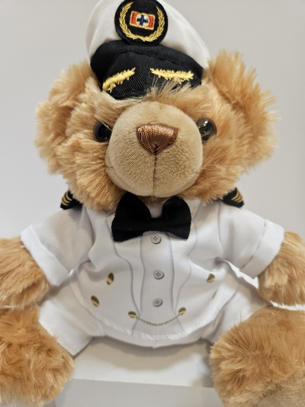 Carnival Miracle Nautical Captain Teddy Bear Plush Toy Brown & White Outfit 9"